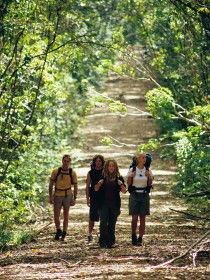 Wet Tropics Great Walk - Accommodation Bookings 0