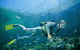 Manta Ray Bommie Dive Site - thumb 0