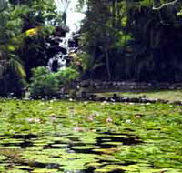 Queens Park Waterfall - Accommodation Bookings