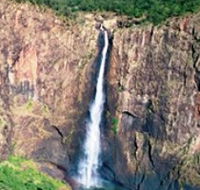 Gugigugi Butterfly Walk Wet Tropics Great Walk - Accommodation Bookings