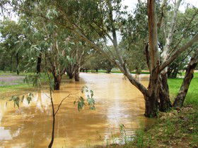 Saddliers Waterhole And Hamburg Creek - Accommodation Bookings 0