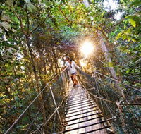 Tree Top Walkway - Accommodation Bookings