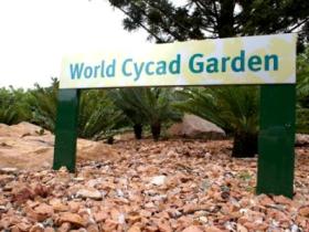 Anderson Park Botanic Gardens - Accommodation Bookings 0