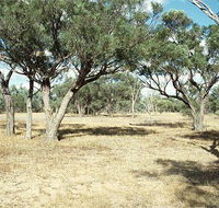 Forest Den National Park - Accommodation Bookings