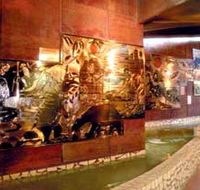 Riversleigh Fossil Centre - Accommodation Bookings