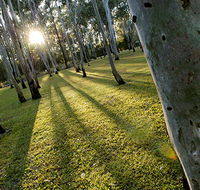 Tondoon Botanic Gardens - Accommodation Bookings