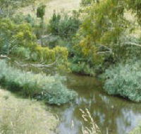 Yarrambat Park - Accommodation Bookings
