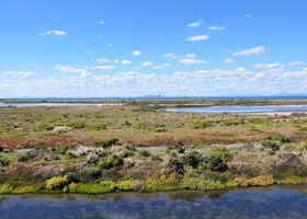Point Cook Coastal Park - Accommodation Bookings 0