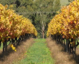 Wild Dog Winery & Restaurant - Accommodation Bookings 0