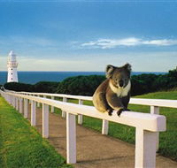 Cape Otway Lightstation - Accommodation Bookings