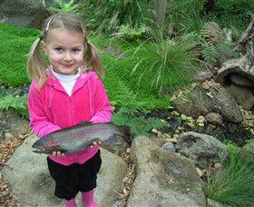 Rhyll VIC Accommodation Bookings