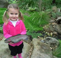 Wild Food Farm  Cafe - Accommodation Bookings