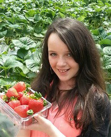 Yarra Valley Gateway Estate - Accommodation Bookings 0