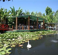 Blue Lotus Water Garden - Accommodation Bookings