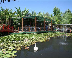 Blue Lotus Water Garden - Accommodation Bookings 0