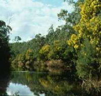 Warrandyte State Park