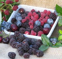 Bright Berry Farms - Accommodation Bookings