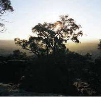 Yarra Flats - Accommodation Bookings