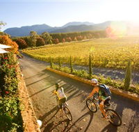 Boyntons Feathertop Winery - Accommodation Bookings