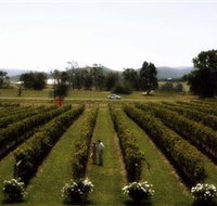 Rochford Wines - Accommodation Bookings