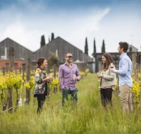 Willow Creek Vineyard - Accommodation Bookings
