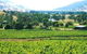 Upper Murray Estate - thumb 0