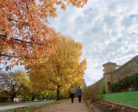 Beechworth Historic Park - Accommodation Bookings 0