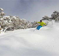 Mt Buller and Mt Stirling Alpine Resort - Accommodation Bookings
