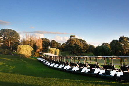 Rosebud Country Club - Accommodation Bookings 0