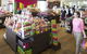Yarra Valley Chocolaterie & Ice Creamery - thumb 4