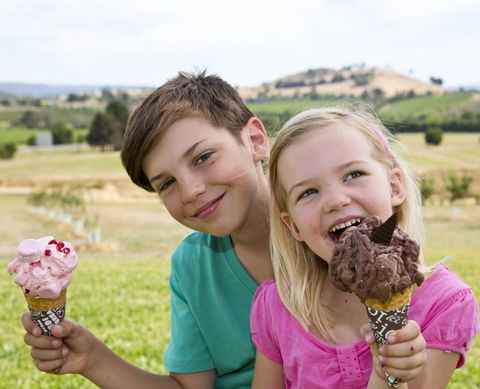 Yarra Valley Chocolaterie & Ice Creamery - Accommodation Bookings 6