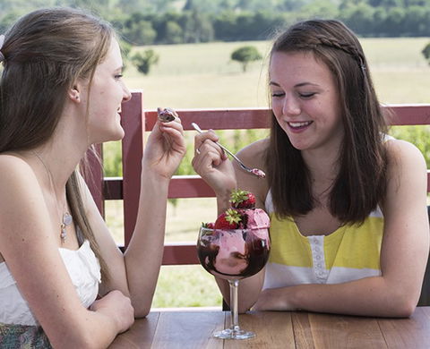 Yarra Valley Chocolaterie & Ice Creamery - Accommodation Bookings 8