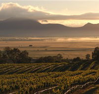Montara Wines - Accommodation Bookings