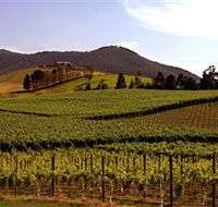 Soumah of Yarra Valley - Accommodation Bookings