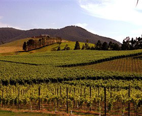 Soumah Of Yarra Valley - Accommodation Bookings 0