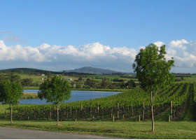 Yarrawood Estate - Accommodation Bookings 0