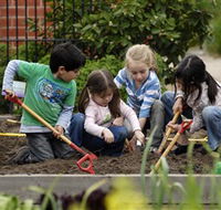 The Ian Potter Foundation Children's Garden - Accommodation Bookings