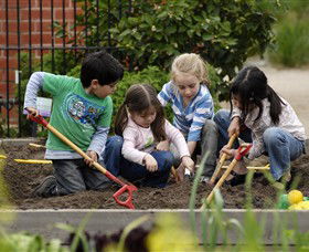 The Ian Potter Foundation Children's Garden - Accommodation Bookings 0