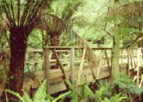 Mount Worth State Park - Accommodation Bookings 0