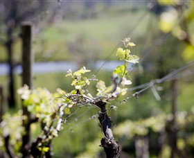 Coldstream Hills - Accommodation Bookings 0