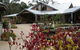 Kuranga Native Nursery And Paperbark Cafe - thumb 0