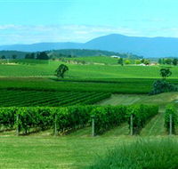 Acacia Ridge Vineyard - Accommodation Bookings
