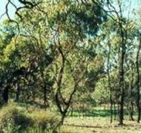 Leaghur State Park - Accommodation Bookings