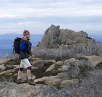 Mount Buffalo National Park - Accommodation Bookings