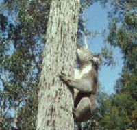 Creswick Regional Park - Accommodation Bookings