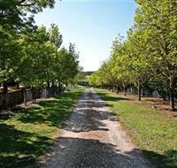 Waybourne Winery - Accommodation Bookings