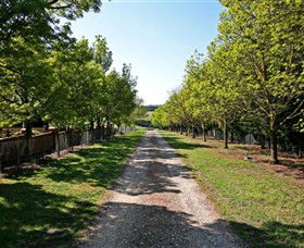 Waybourne Winery - Accommodation Bookings 0