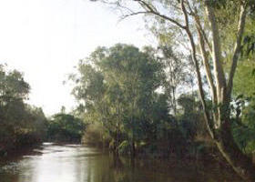 Banksia Park - Accommodation Bookings 0