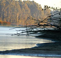 Barmah National Park - Accommodation Bookings