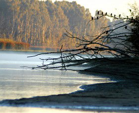 Barmah National Park - Accommodation Bookings 0